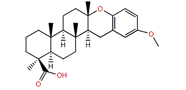 Strongylophorine 1